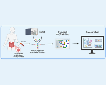 Abb-1-Datenanalyse